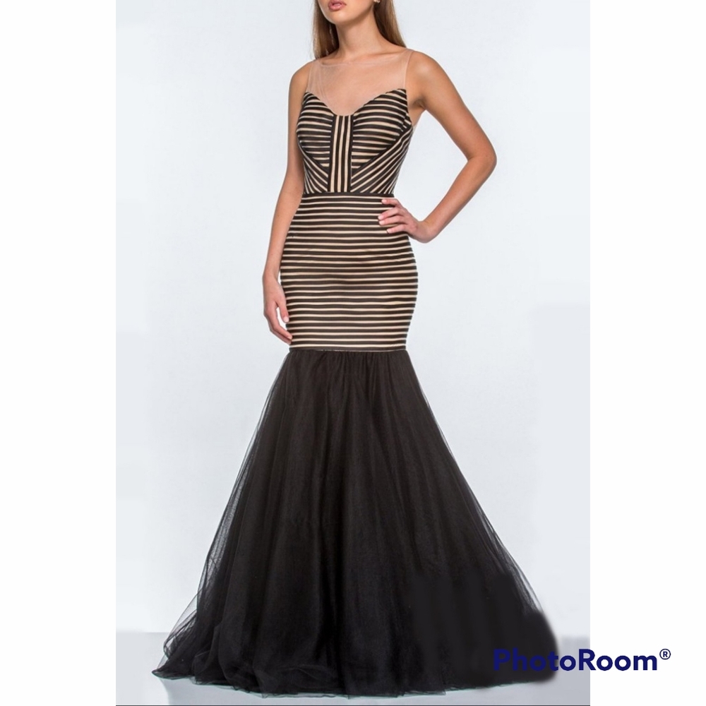 Terani Couture Illusion Mermaid Gown